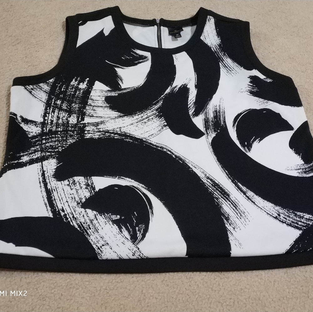 BOGO Dressy 2x top.